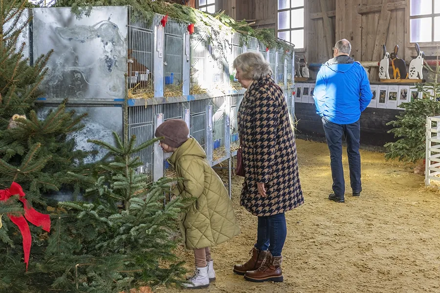 Pressefotografie aus Wald