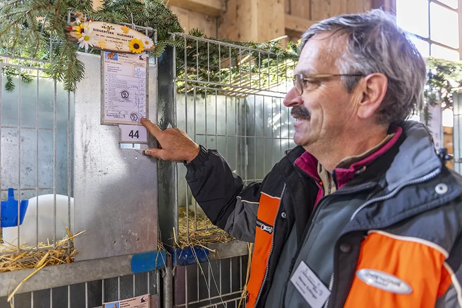 Pressefotografie