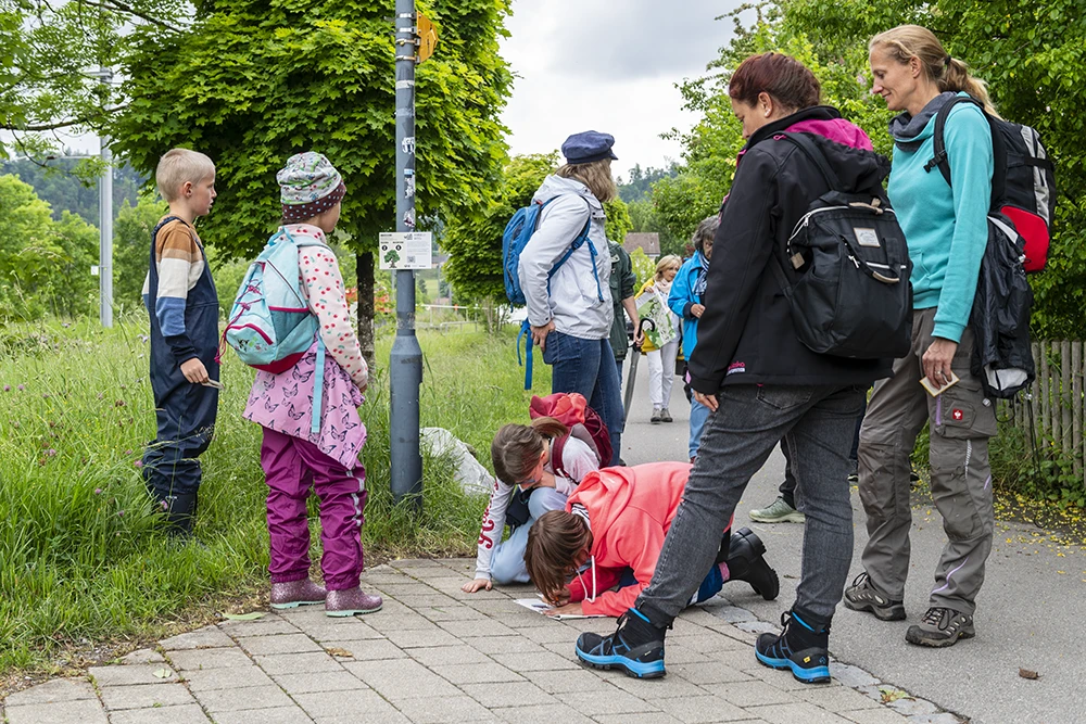 Pressefotografie