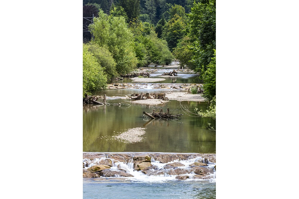 Pressefotografie aus Zell