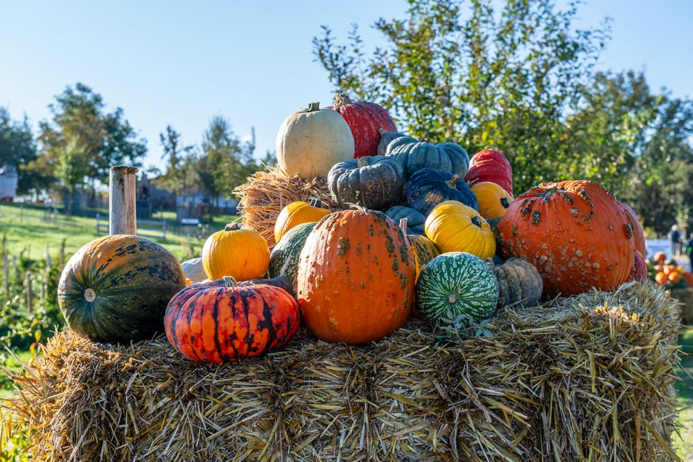 Pressefotografie aus Aathal-Seegr�ben