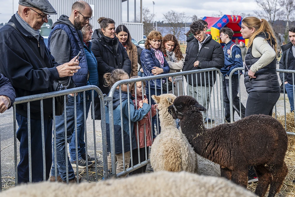 Pressefotografie aus Uster